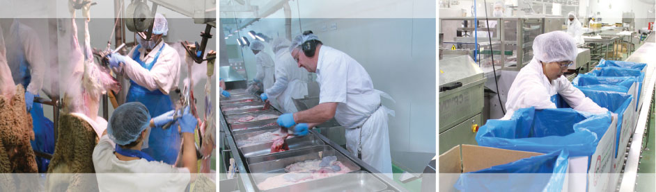 staff cedar meats
